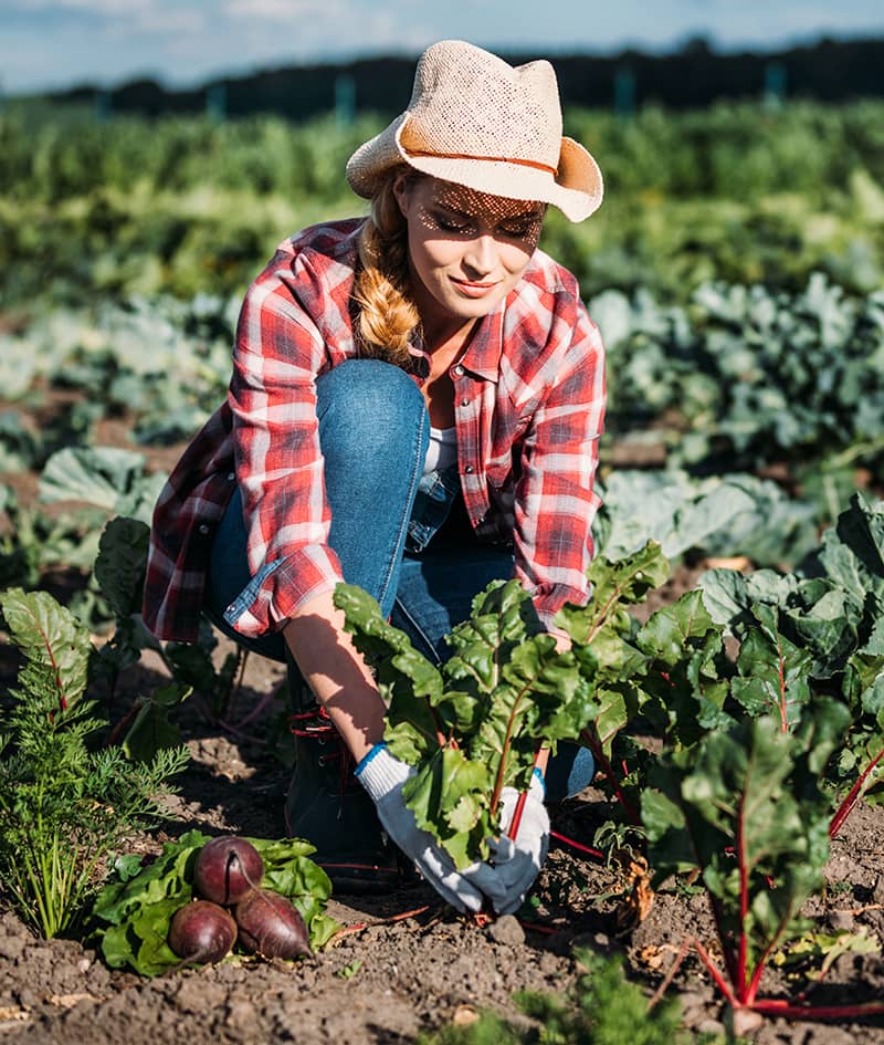 farmer